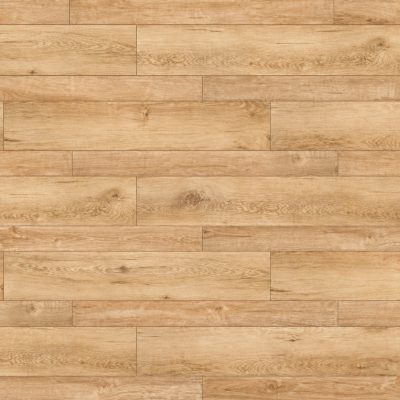 home-product-tsm41